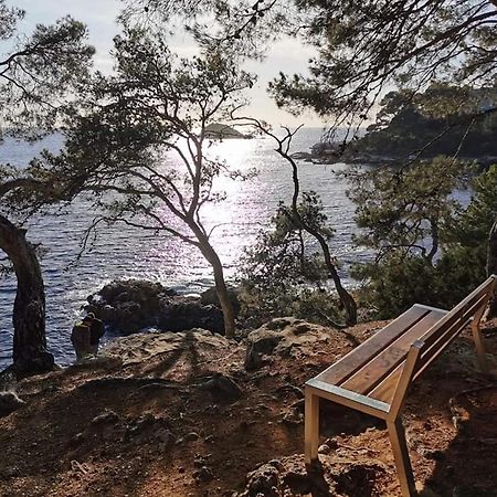 La Terrasse Bandolaise Tout A Pied, Wifi, Clim, Parking Екстериор снимка