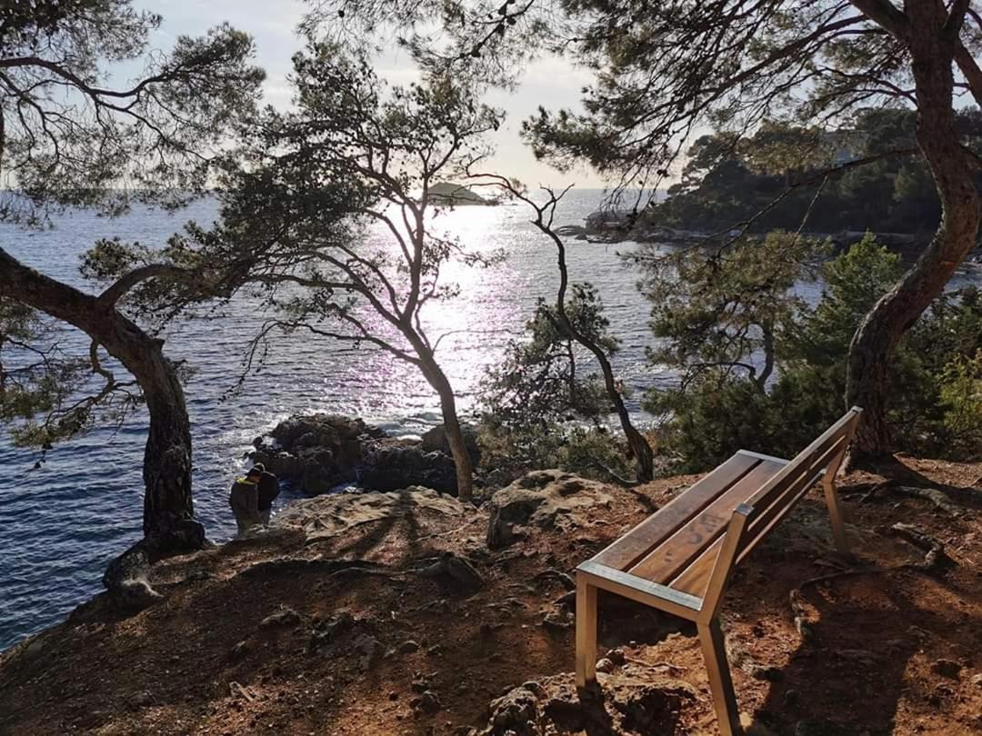 La Terrasse Bandolaise Tout A Pied, Wifi, Clim, Parking Екстериор снимка